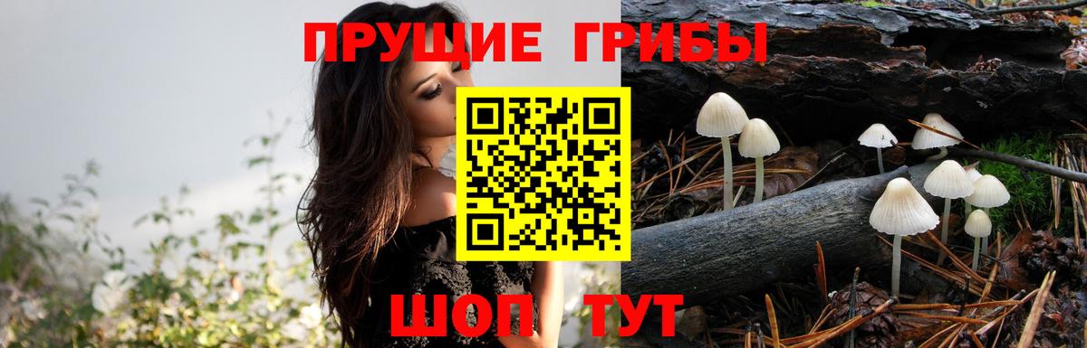 Галлюциногенные грибы мицелий  Вход с VPN  Сыктывкар  купить закладку  Псилоцибиновые грибы мицелий 